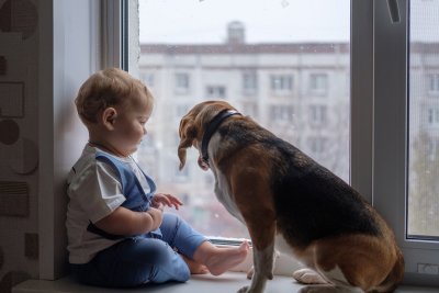 Honden en baby? united!